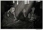 Monks at Nenying Chode Monastery Tibet